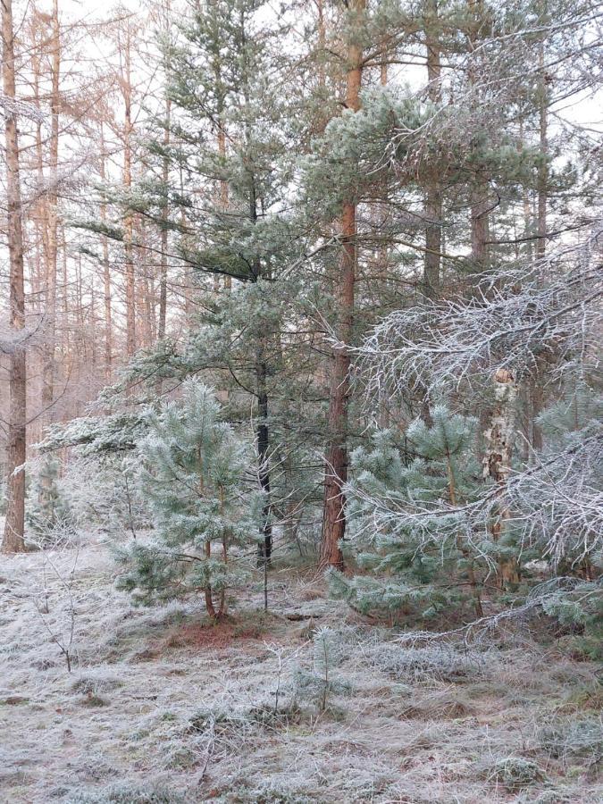 Natuur, Comfort, Rust, Mooie Omgeving Putten Bagian luar foto