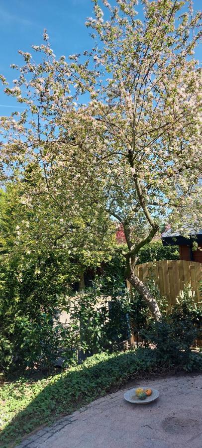 Natuur, Comfort, Rust, Mooie Omgeving Putten Bagian luar foto
